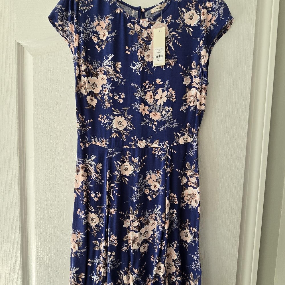 Francesca's Dress Size small NWT      Floral Blue Dress